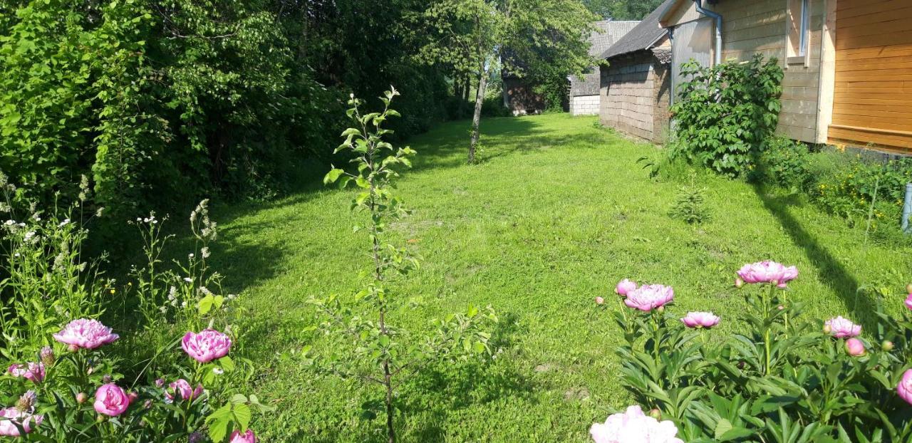 Dom Na Wsi ,, Koszelowka " Koszele  Esterno foto